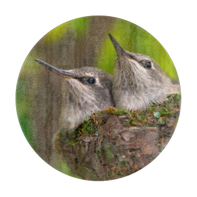 Kolibris im Babyalter Schneidebrett (Vorderseite)