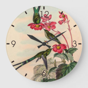 Kolibris im Vintage-Stil von John Gould Große Wanduhr