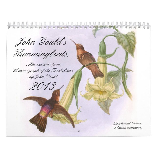 Kolibris Johns Goulds Kalender (Titelbild)