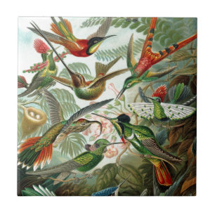 Kolibris Paradies Kunst Fliese
