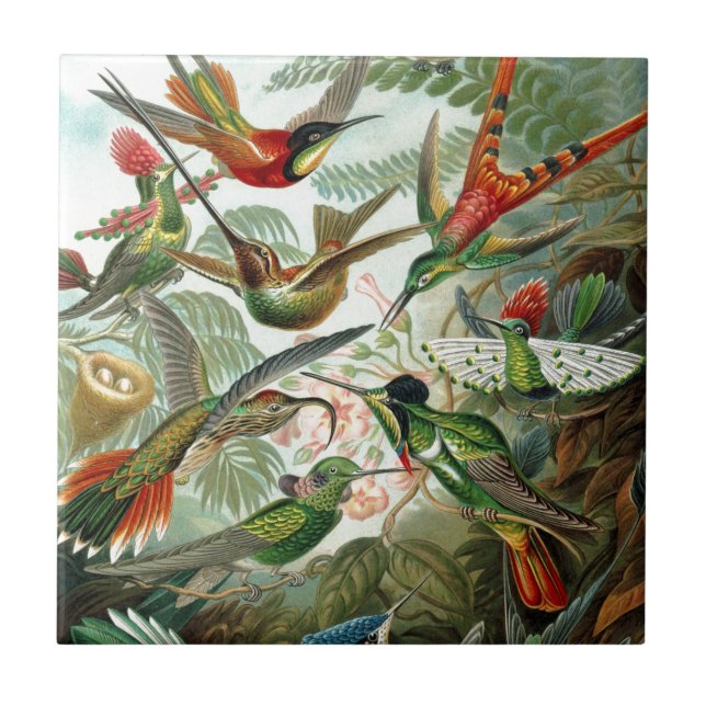Kolibris Paradies Kunst Fliese (Vorderseite)