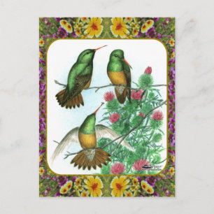 Kolibris und Blumen #1 Postkarte