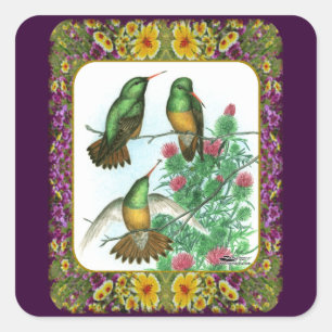 Kolibris und Blumen #1 Quadratischer Aufkleber