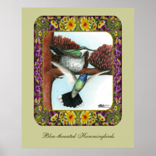 Kolibris und Blumen #3 Poster