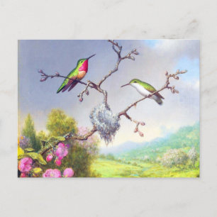 Kolibris und Blüten Kunst Postkarte