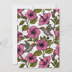 Kolibris und rosa Hibiskusblüten