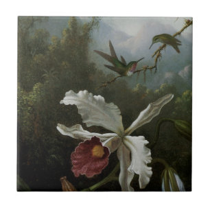 Kolibris und weiße Orchidee von Martin J. Heade Fliese