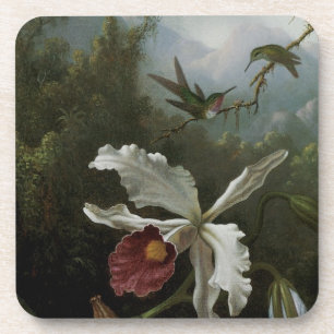 Kolibris und Weiße Orchidee von Martin J. Heade Getränkeuntersetzer