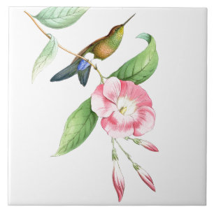 Kolibris Vögel Blumen Floral Tiere Wildnis Fliese