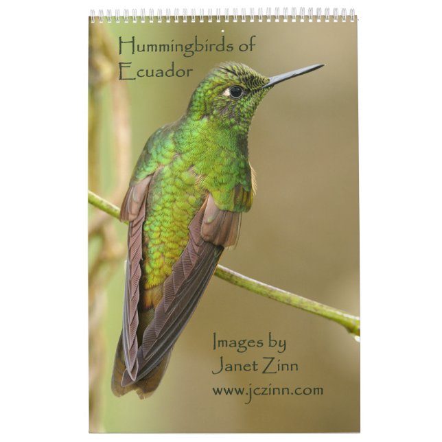 Kolibris von Ecuador-Kalender Kalender (Titelbild)
