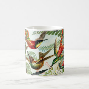 Kolibris von Ernst Haeckel (2) Kaffeetasse