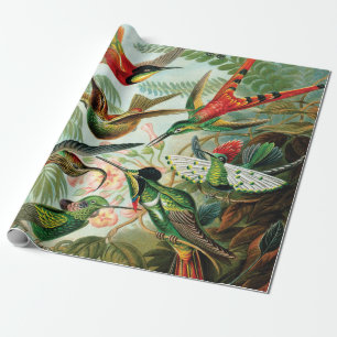 Kolibris von Ernst Haeckel Geschenkpapier