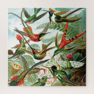 Kolibris von Ernst Haeckel Puzzle