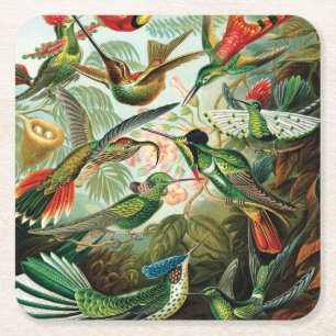 Kolibris von Ernst Haeckel Rechteckiger Pappuntersetzer