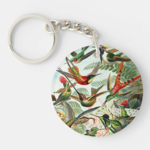 Kolibris von Ernst Haeckel Schlüsselanhänger