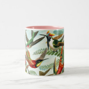Kolibris von Ernst Haeckel Zweifarbige Tasse