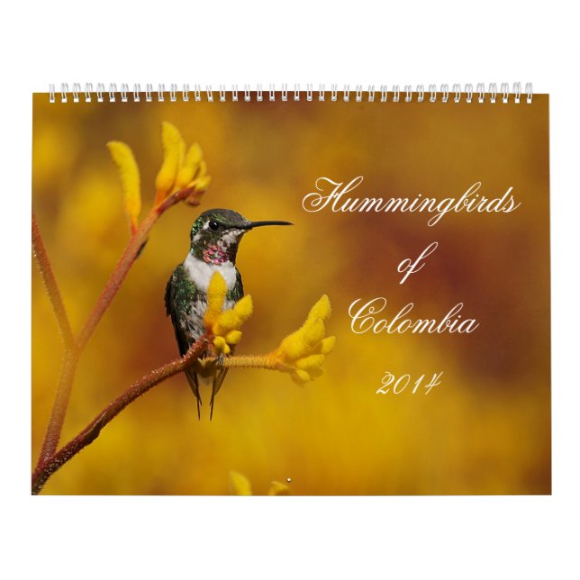 Kolibris von Kolumbien Kalender (Titelbild)