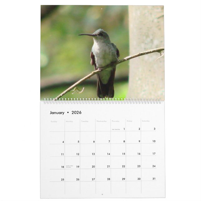 Kolibris von Kolumbien Kalender (Jan 2026)