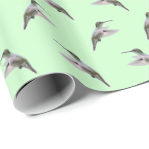 Kolibris-Wahnsinn-Geschenkpapier (Hellgrün) Geschenkpapier