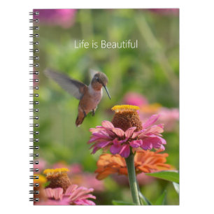 Kolibris Zinnienblüten (meine Fotografie) Notizblock
