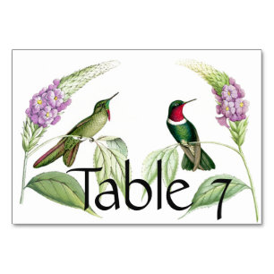 Kolibrivögel Blumen Floral Tischkarte Tischnummer