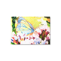 Kollagenschmetterling