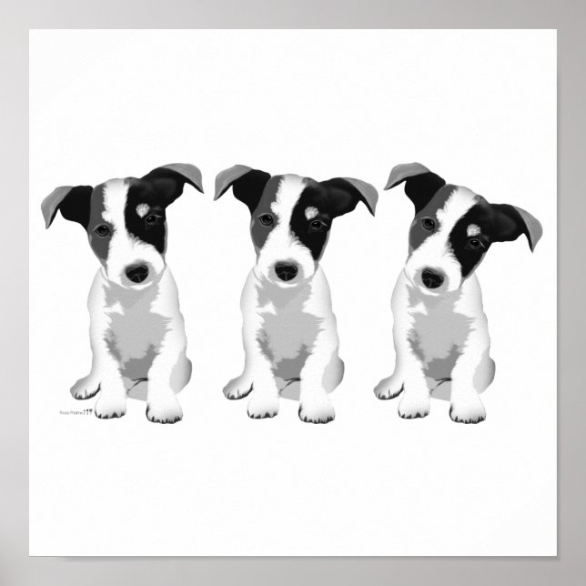 Kollektionsdesign Roseplatine® Poster (Vorne)