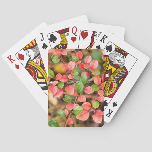 Kölner Horizontalis Spielkarten (Rückseite)