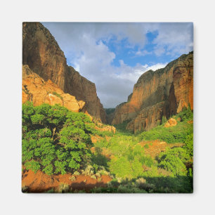 Kolob Canyon im Zion Canyon im Zion National Magnet