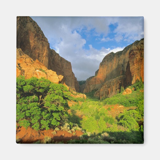 Kolob Canyon im Zion Canyon im Zion National Magnet (Vorne)