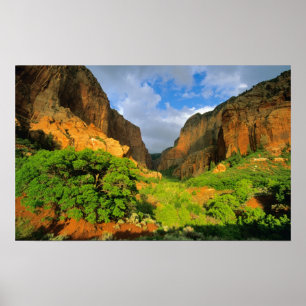 Kolob Canyon im Zion Canyon im Zion National Poster