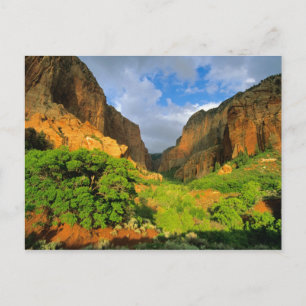 Kolob Canyon im Zion Canyon im Zion National Postkarte