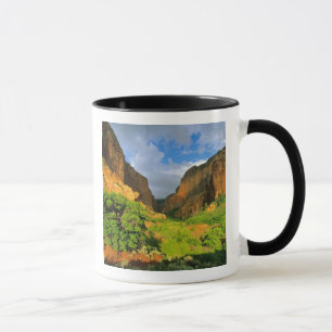 Kolob Canyon im Zion Canyon im Zion National Tasse