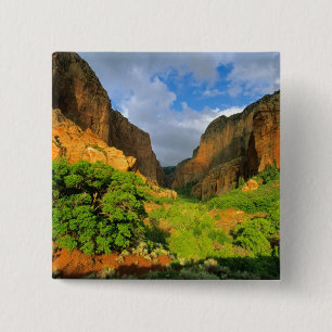 Kolob Canyon in Zion Canyon, Zion National Button