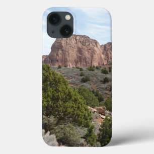 Kolob Canyons im Zion National Park Case-Mate iPhone Hülle