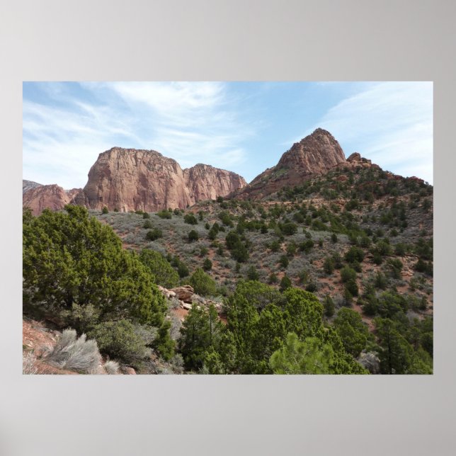 Kolob Canyons im Zion-Nationalpark Poster (Vorne)