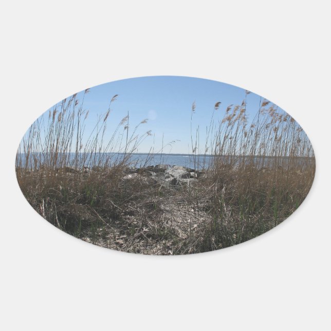 Kolonialstrand 1 ovaler aufkleber (Vorderseite)