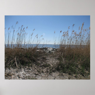 Kolonialstrand 1 poster