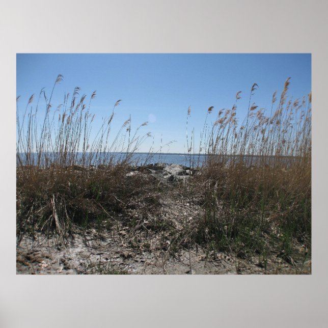 Kolonialstrand 1 poster (Vorne)