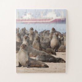 Kolonie der Cape-Fur-Siegel Puzzle