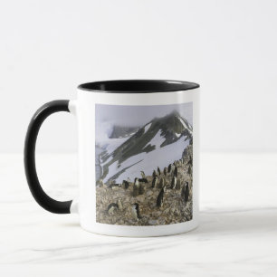 Kolonie von Chinstrap Pinguinen Tasse