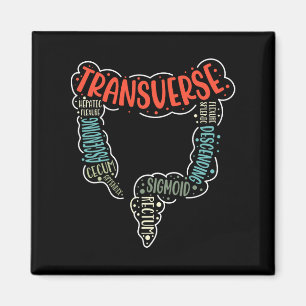 Koloskopie Gi Funny Endoscopy Nurse Colon Anatomie Magnet