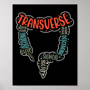 Koloskopie Gi Funny Endoscopy Nurse Colon Anatomie Poster