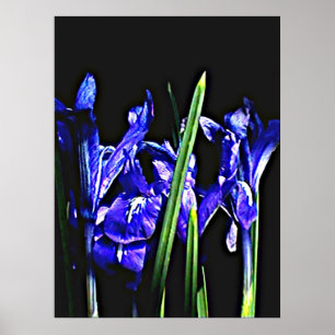 Kolossales 72" x 52" und 52" x 72" Giclée Kunst Poster