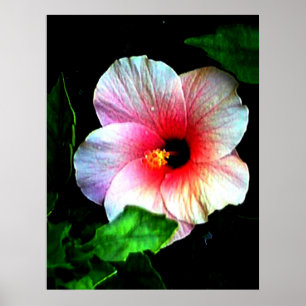 Kolossales 72" x 52" und 52" x 72" Giclée Kunst Poster