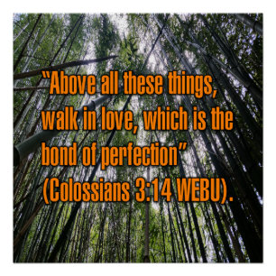 Kolosser 3:14 WEBU Poster