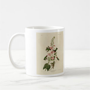 Kolumbisch (Anna's) Humming Bird - Audubons Vögel Kaffeetasse