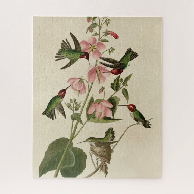 Kolumbisch (Anna's) Humming Bird - Audubons Vögel Puzzle (Vertikal)
