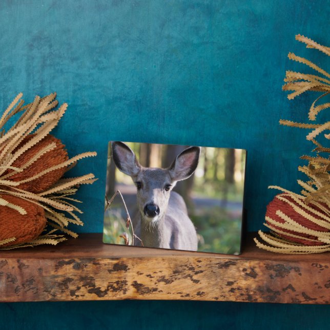 Kolumbischer Schwarzschwanzhund | Washingtoner Sta Fotoplatte (Seite)