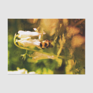 Kolumbus Blume und Hummeln Vintag entkoppeln Seidenpapier